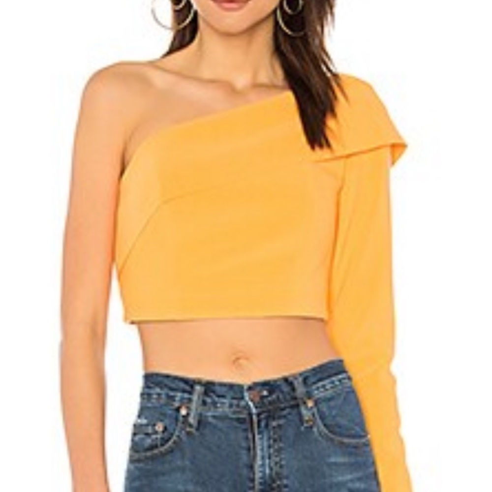 Finders Keepers Tribute Top in Sorbet, size Small
